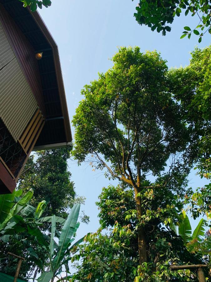 Wayanad Doubletree Villa Vythiri Ngoại thất bức ảnh